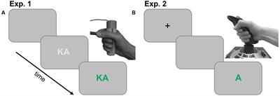 Connections of Grasping and Horizontal <mark class="highlighted">Hand Movements</mark> with Articulation in Czech Speakers